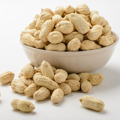Bulk Salted in Shell Peanuts: 25 lbs.